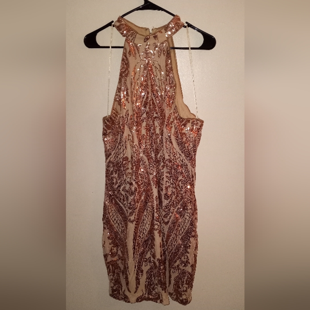 Beautiful Sparkaling Dress